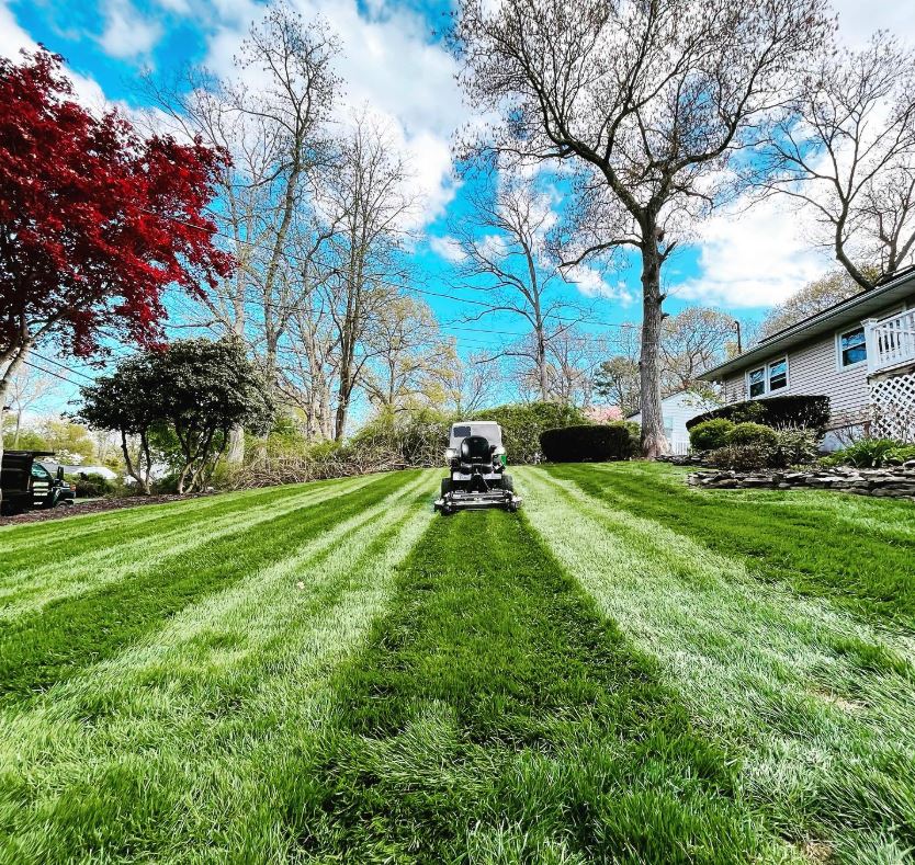 Texture PROFESSIONAL FERTILIZATION FOR A HEALTHY LAWN Walk