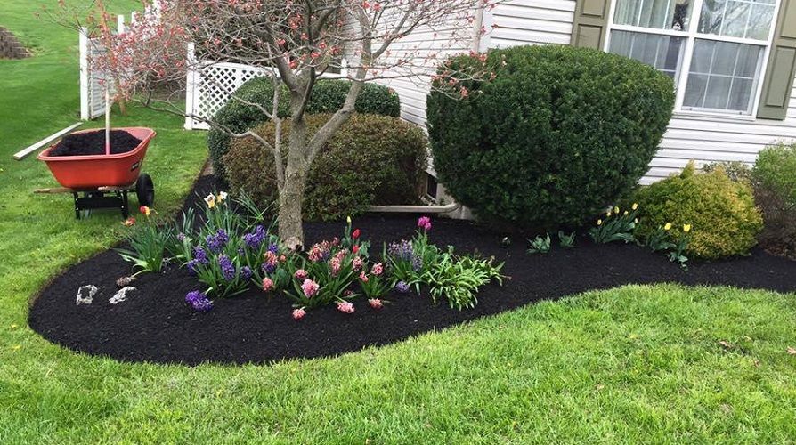 Texture PROFESSIONAL FERTILIZATION FOR A HEALTHY LAWN Walk