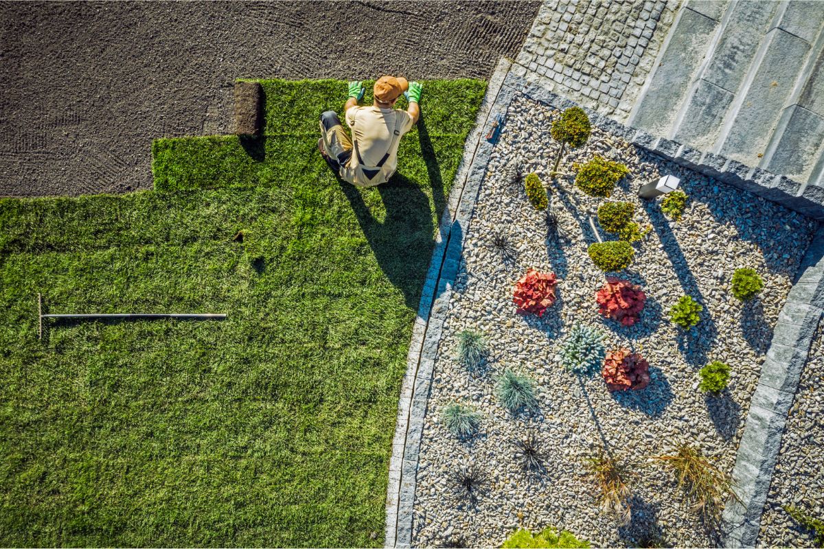 Texture PROFESSIONAL FERTILIZATION FOR A HEALTHY LAWN Walk
